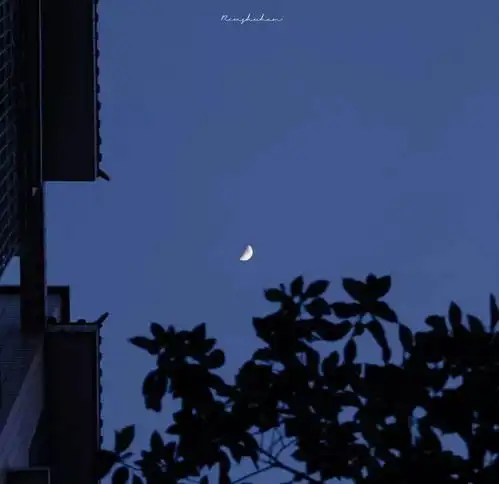 压抑且高质的丧系头像风