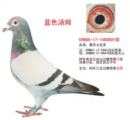 图片浏览鸽事百科