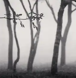 英风光摄影师michaelkenna日本系列作品香港展出