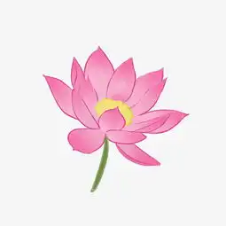 粉色睡莲荷花手绘荷花图片素材其他格式下载动漫人物大全