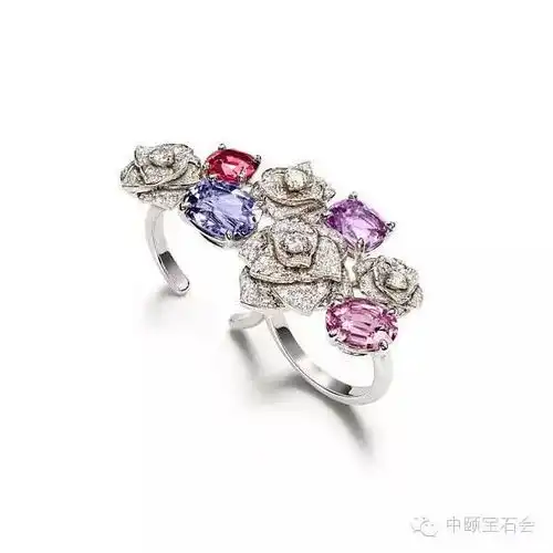 520解锁玫瑰密码,无畏时光催老