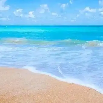 易车新成功领克