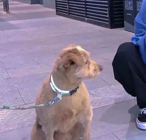 心动系情侣头像情侣