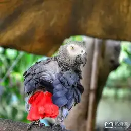 鹿城三亚上帝遗落在凡间的天堂