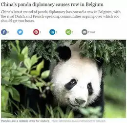 洋气咱四川大熊猫又上美国头条它已萌翻全世界...