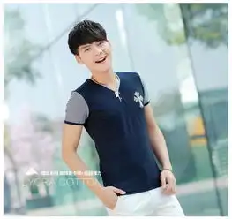 心鸟本色2014夏装新款短袖t恤男韩版潮男v领打底衫半袖体恤男士小衫st7811