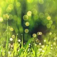 图片大全唯美我心永恒微信头像图片大全