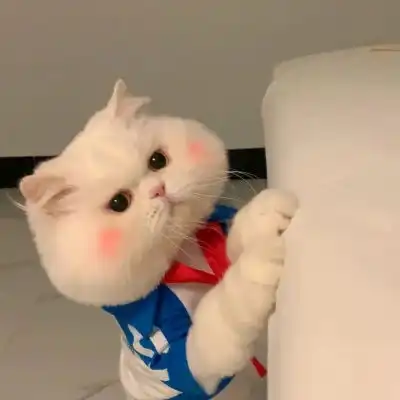 超级神仙可爱的情侣头像