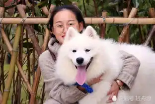 女生说我们不合适下句咋接直男才说为啥,高情商这样回