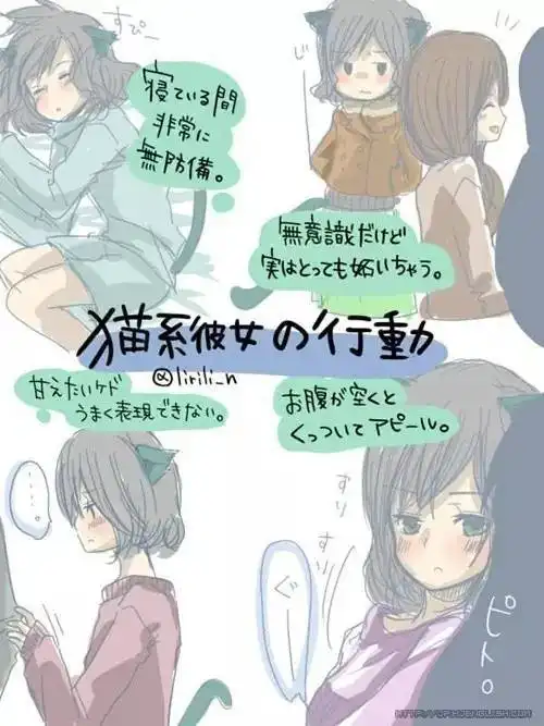 猫系女友和犬系女友有什么区别推特爆火漫画叫你恋爱都不敢谈
