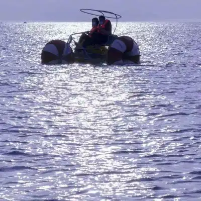 江郁唯美紫色风景图