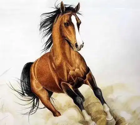 命中坎坷最多的3大生肖,波折多多,但也最有旺财大运,财气冲天