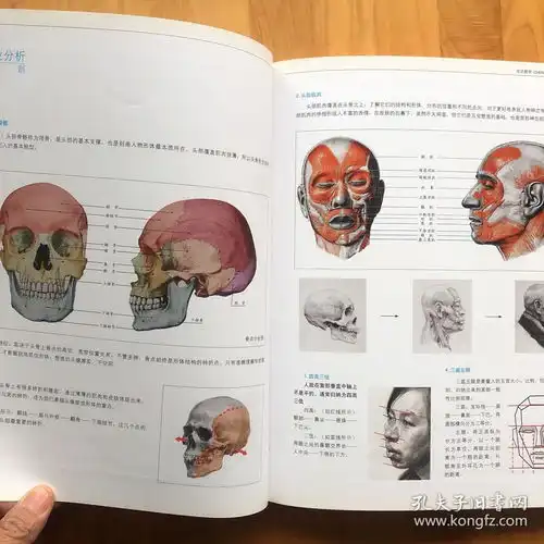 成功教学系列丛书素描头像