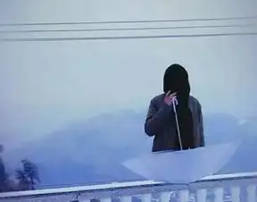 抖音5大未解之谜彭十六的素颜蔡萝莉的家世,还有他的老婆