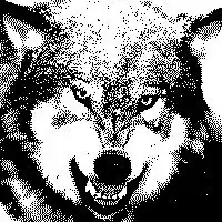 怎么用ps把图片变成黑白