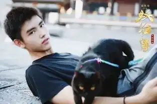 型男奶油小生no17年最受欢迎的男生是这样的