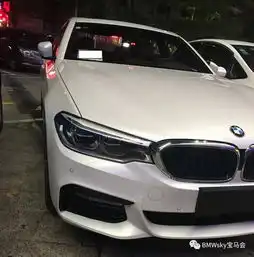 头像自然系宝马