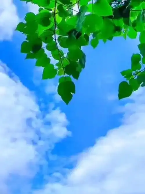 每当我发的时候,我都会在想,会不会有人说这货又发了,烦死了治愈今天的天空特别美治愈系风景夏天的味道