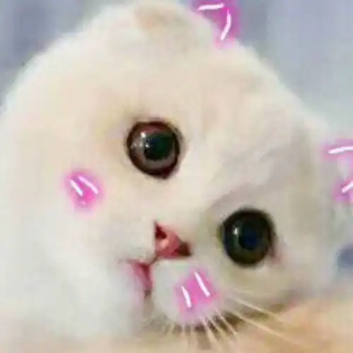 敷眼贴时眼睛是闭着还是睁着哇