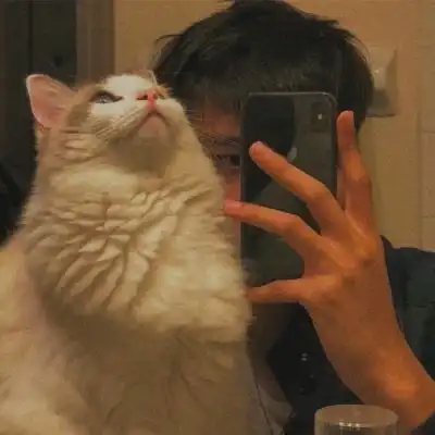 头像丨你只会越来越好