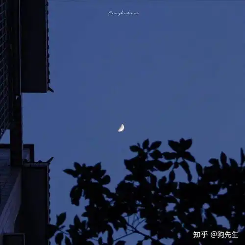 压抑且高质的丧系头像风