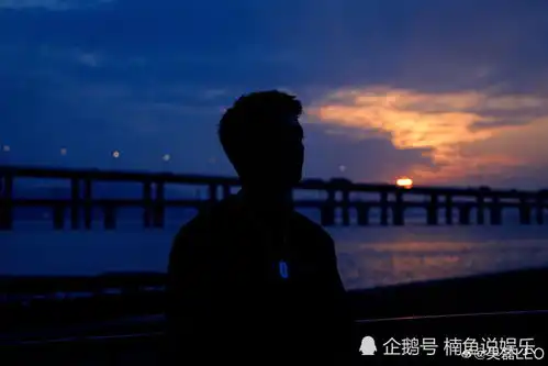 21岁吴磊晒海边落日照,背影意境十足,朝气蓬勃的少年感好喜欢