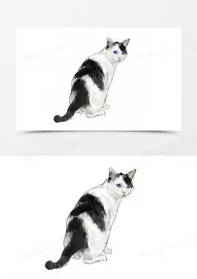 小白猫图片卡通可爱呆萌大全熊猫办公