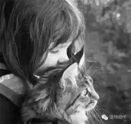 治愈系的猫咪女生头像又