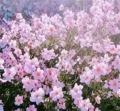 你有什么特别喜欢的句子,或者说足够让你惊艳与感动