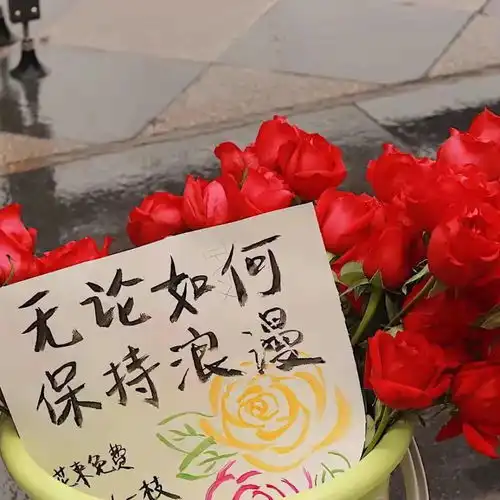 这吹不出褶皱的平淡日子也在闪着光