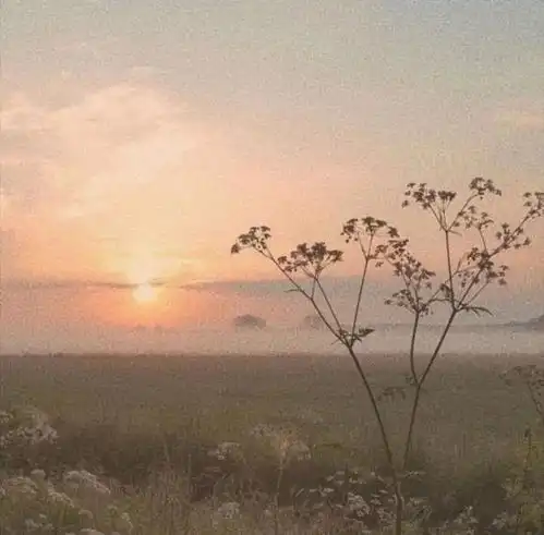 电台送你一只素笔