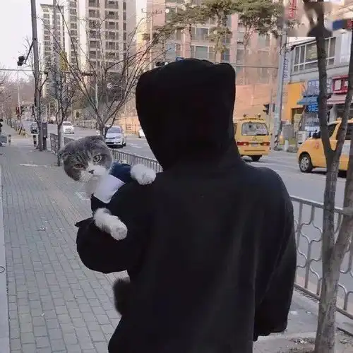 微信头像爱了爱了