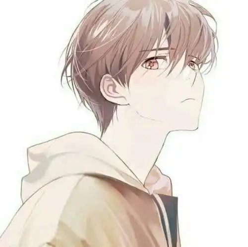 双子座男生让你爱让你恨