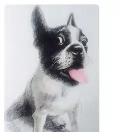 蜡笔动漫彩铅水粉素描等你来