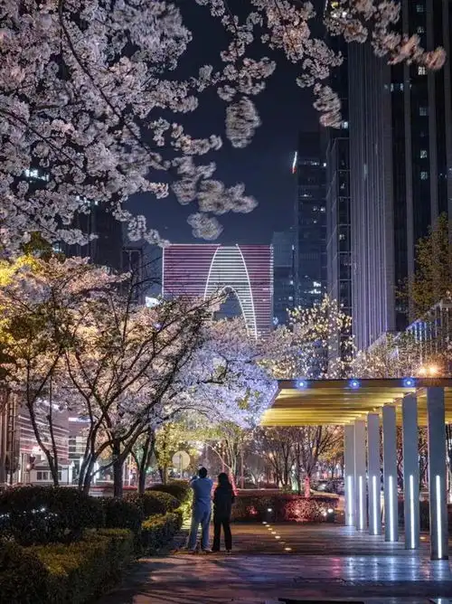 来园区,遇见粉色的梦