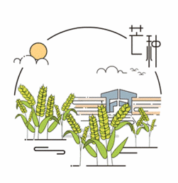 芒种节气,忙什么别错过一年里最好的养身时机