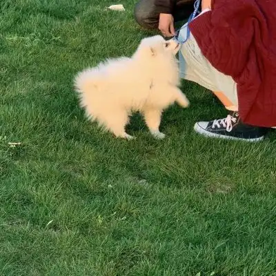 绿色头像ins高级质感系