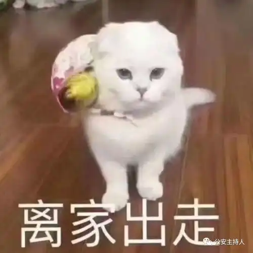 女友遭家人反对,男子负气出走到禅城18年过去了,怨气还未消...