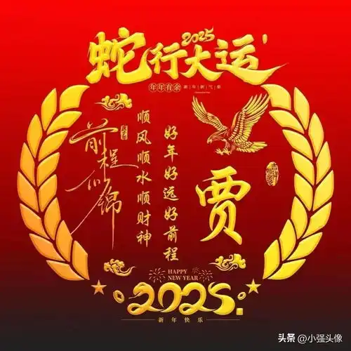 ai绘画姓氏头像邓郭郑齐张周吴林王陈罗