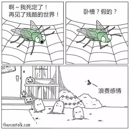 脑洞大开如果动物会说话,说点啥