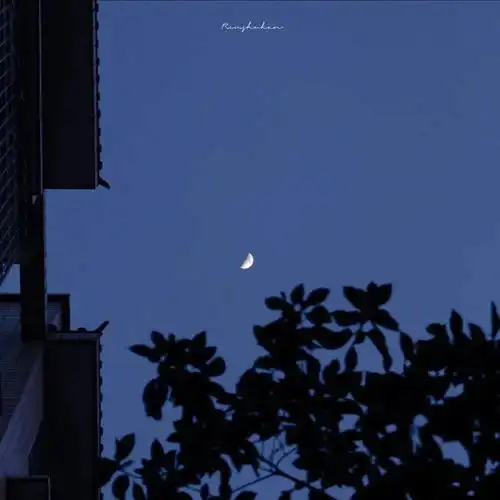 蓝色系列头像翻车