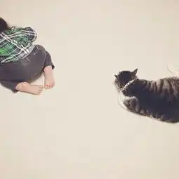 绝对治愈系照片孩子与猫咪的日常生活