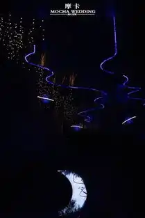 dodowed真实婚礼案例推荐系列之南通摩印婚礼蓝色系星空婚礼布置