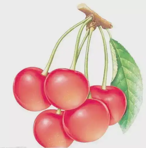 对于那些错误保健常识,影响了你健康多久