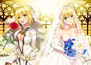 二次元美少女fate系列saber花嫁动漫堆糖,美好生活研究所