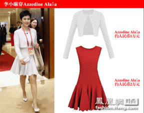 18张图带你走近电力一姐李小琳图