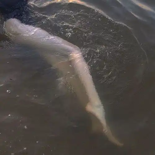 有没有那种性冷淡风又有点a的壁纸或者女生头像