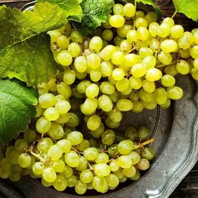 吃货专属头像新鲜美味的诱人水果