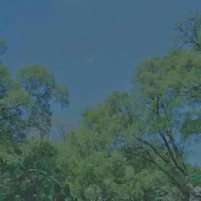 风景静物头像你若爱,生活哪里都可爱