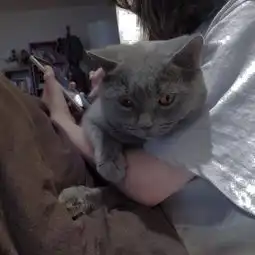 萌照片萌相册大全yy官方